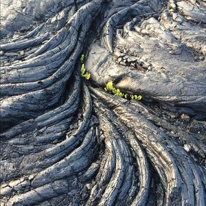 Meet your Posher, Vasilisa